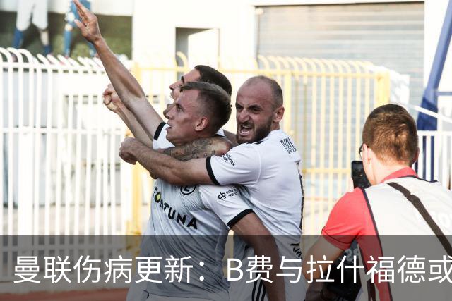 曼联伤病更新：B费与拉什福德或迎战热刺，德里赫特归期未定